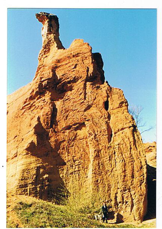 Étonnante nature