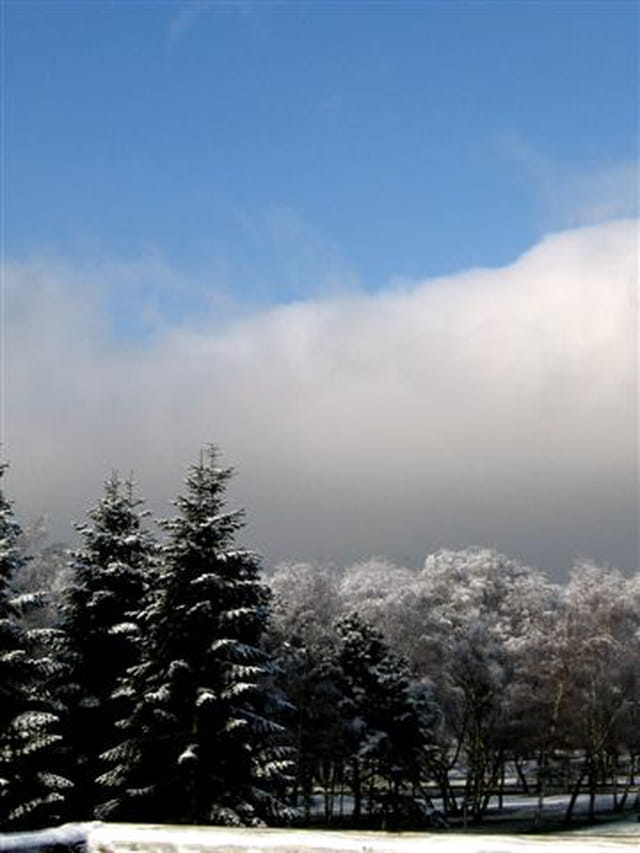 Féerie d'hiver
