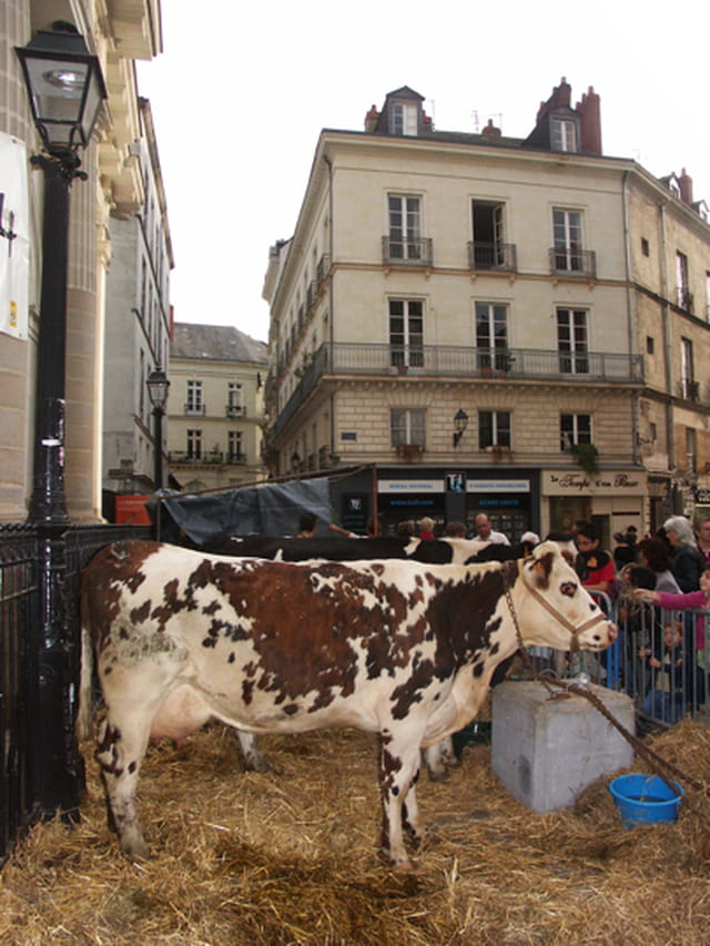 Ferme en ville, Ã Nantes