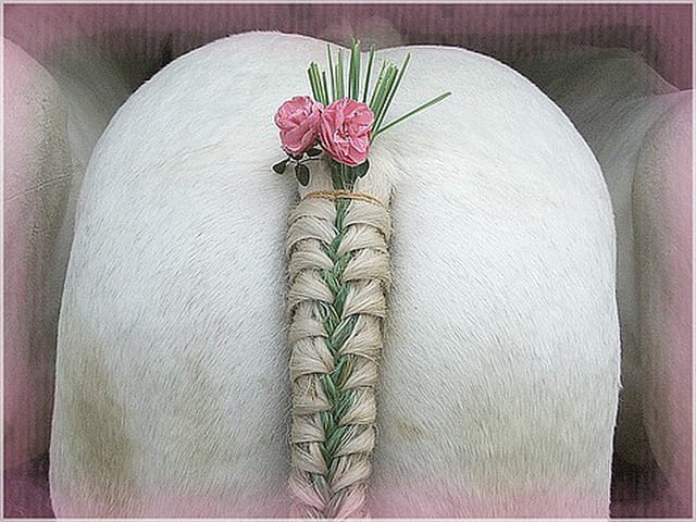 Fête agricole