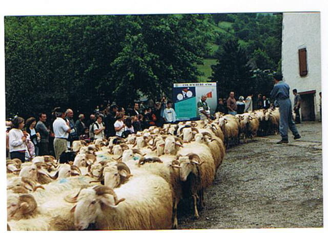 Fête de la transhumance
