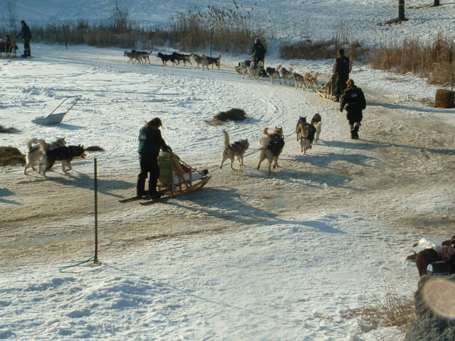 Fête des neiges