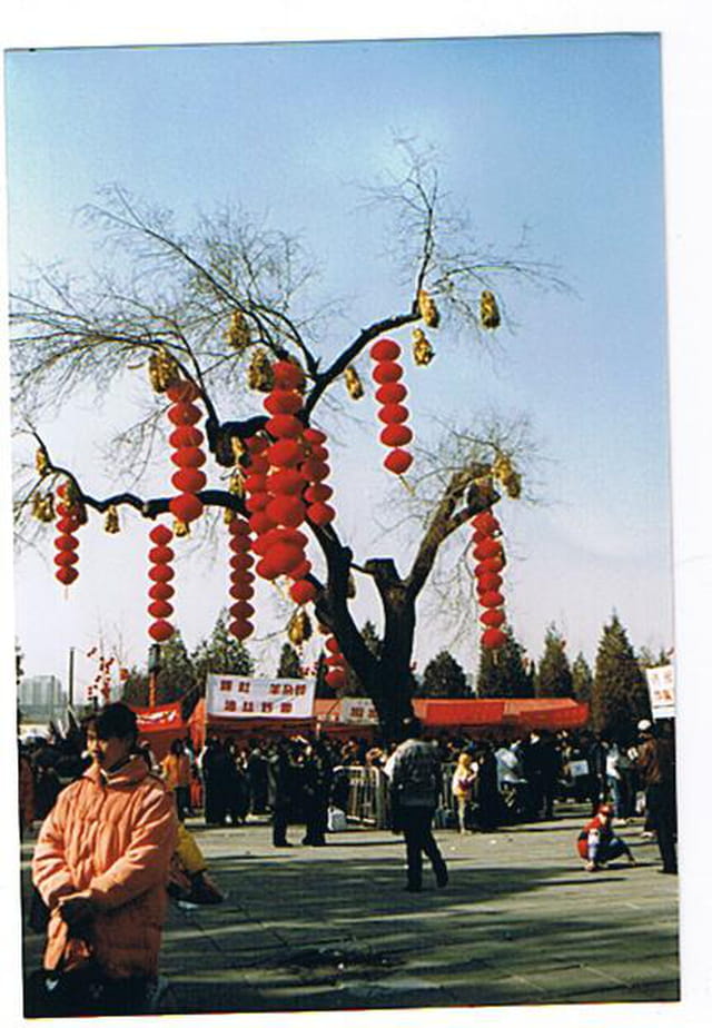 Fêtes du nouvel an chinois