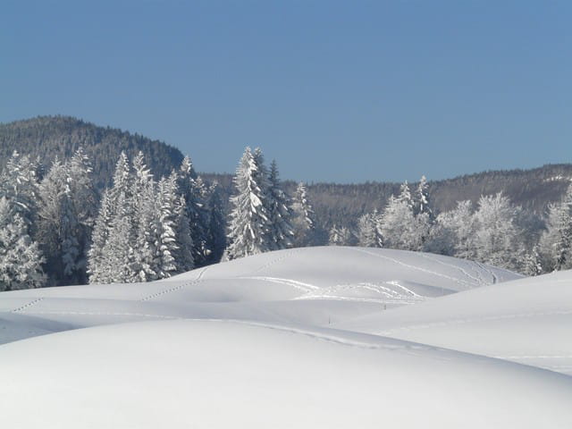 Givre