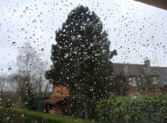 Goutes de pluie