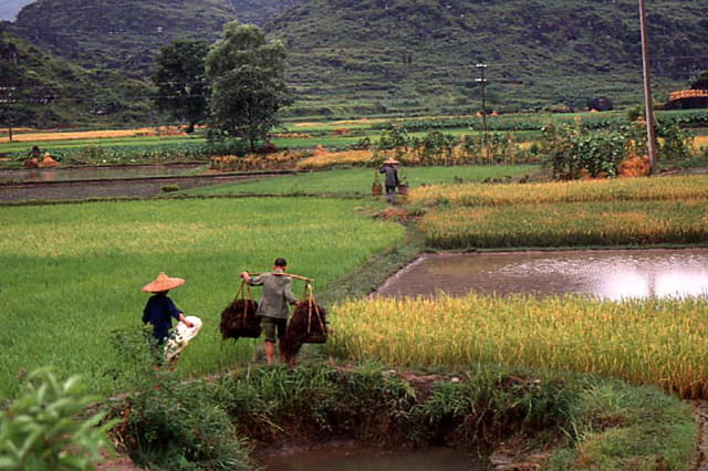Guilin