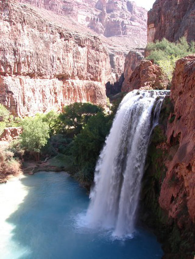 Havasu falls
