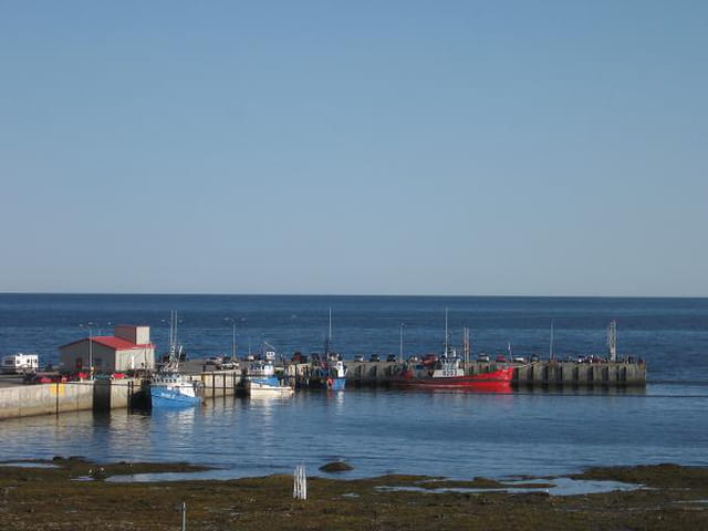 Havre