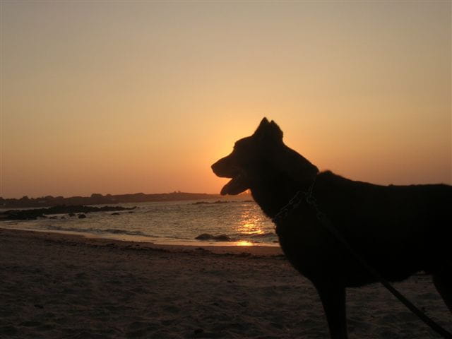 Ix admire le coucher de soleil