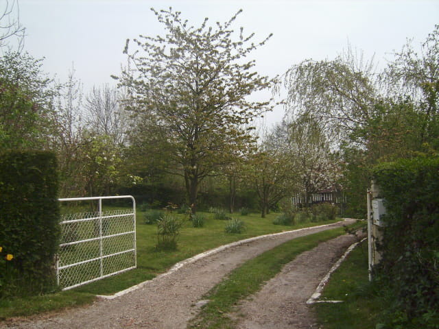Jardin de printemps