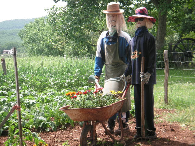 Jardiniers à la main verte
