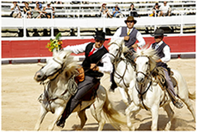 Jeux de gardians en Camargue