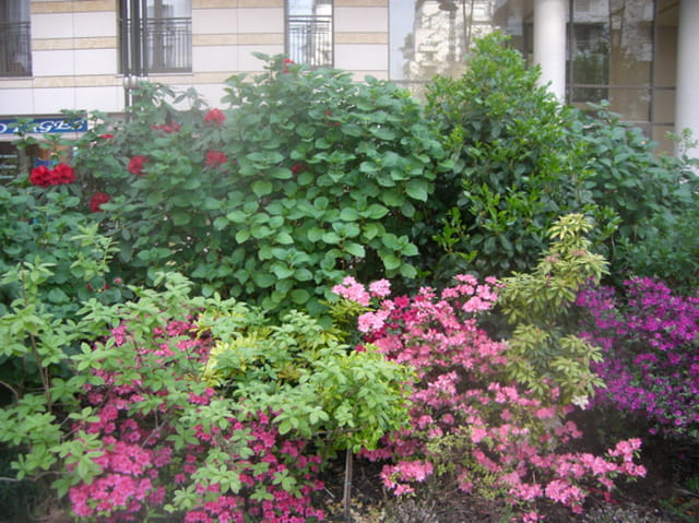 Joli parterre