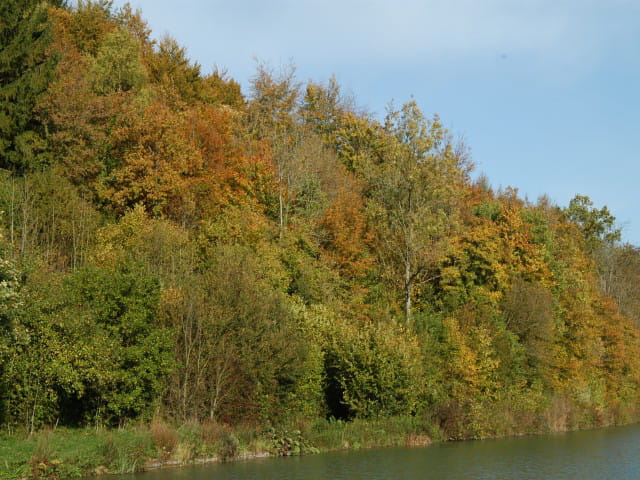 Journée d'automne