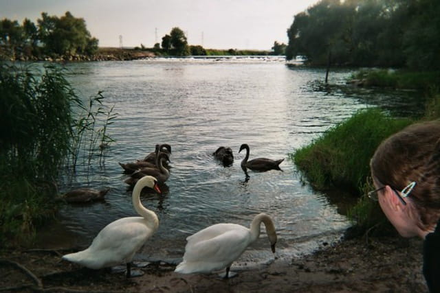 Journée pêche