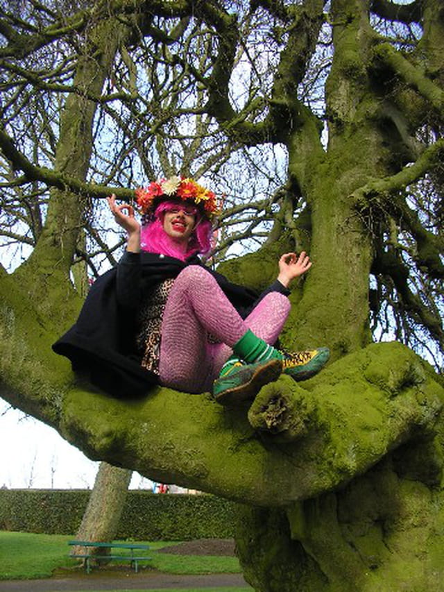 L arbre aux masquelours