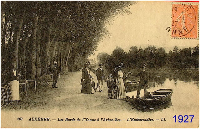 L'arbre sec (Auxerre)