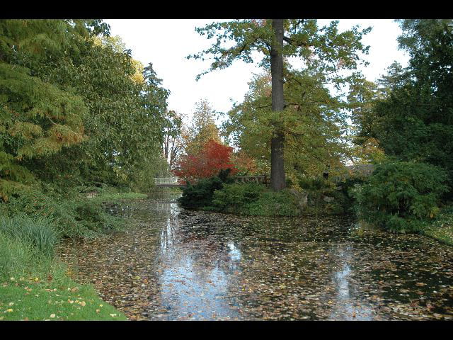 L'automne