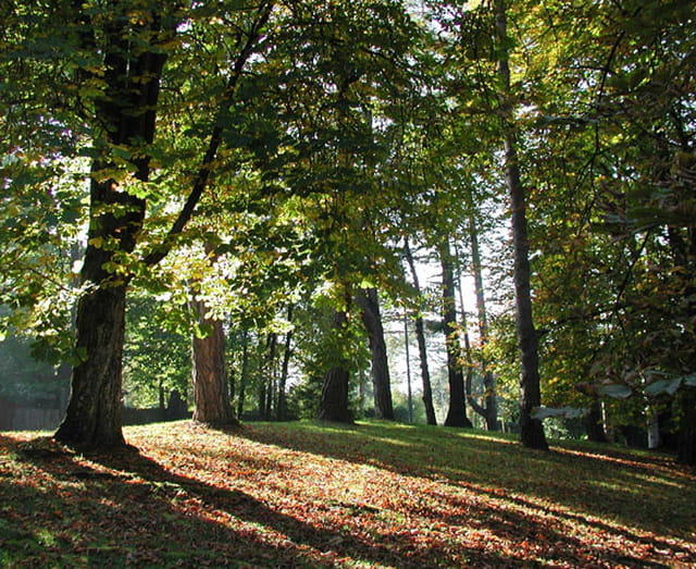 L'automne au parc