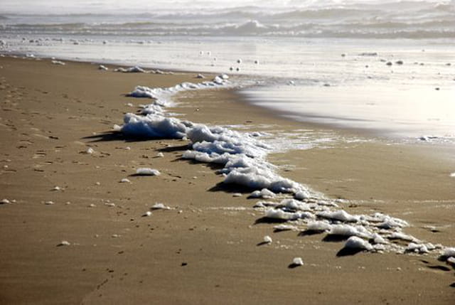 l'écume au bord de l'Océan Atlantique