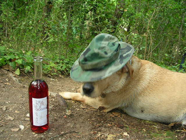L'heure de l'apéro