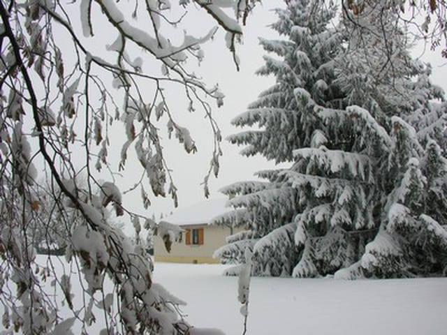L'hivers la neige