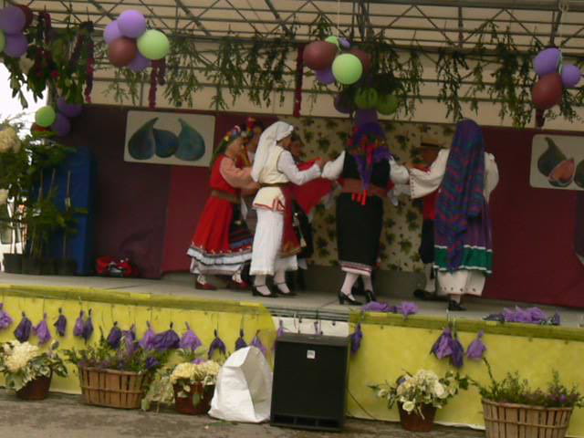 La fête de la figue