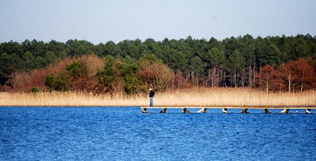 la jetée sur le lac de Sanguinet