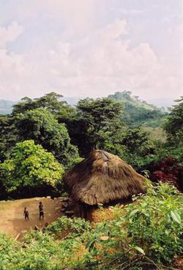 La maison plongée