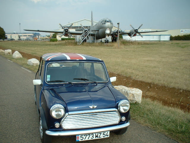 La mini