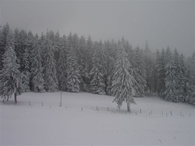 La neige