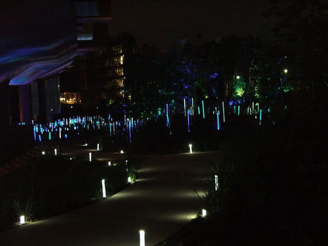 La nuit des musées