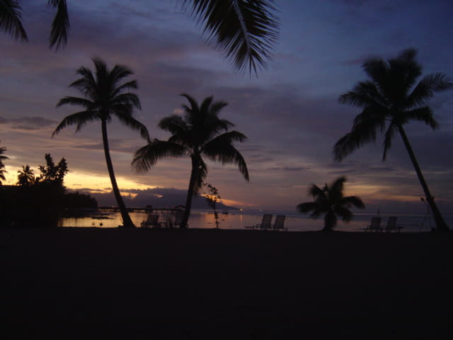 La nuit venue