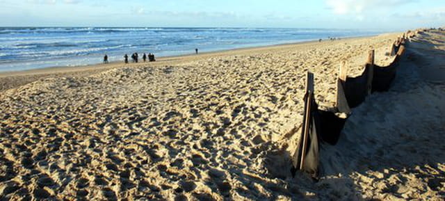 la plage en hiver