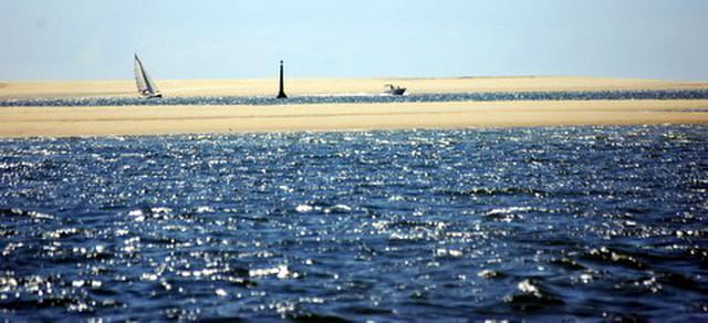 la réserve naturelle du Banc d'Arguin