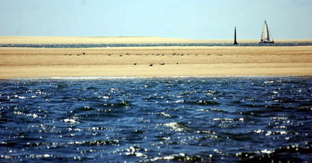 la réserve naturelle du Banc d'Arguin