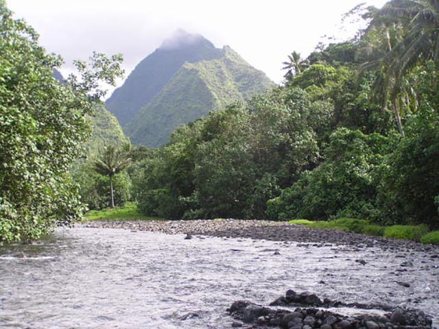 La rivière de Tautira
