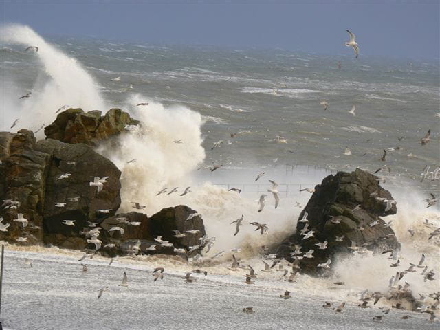 La tempete