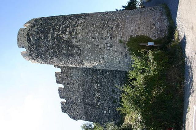 La Tour de Bise