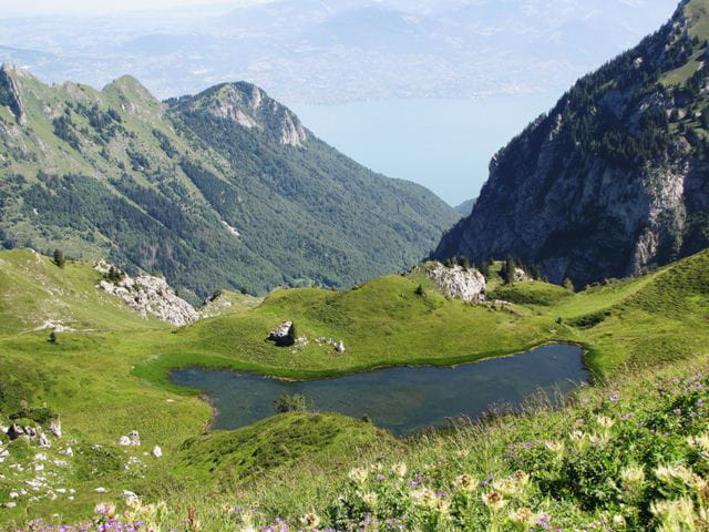 Lac et lacs