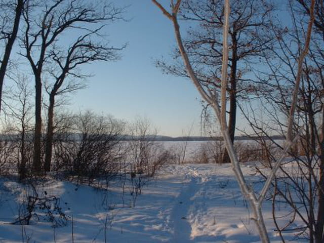 Lac sous la neige