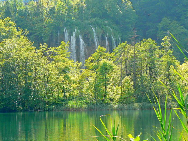 Lacs et cascades de plitvice