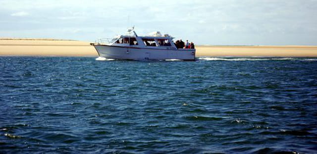 le bateau promenade le long du banc d'Arguin