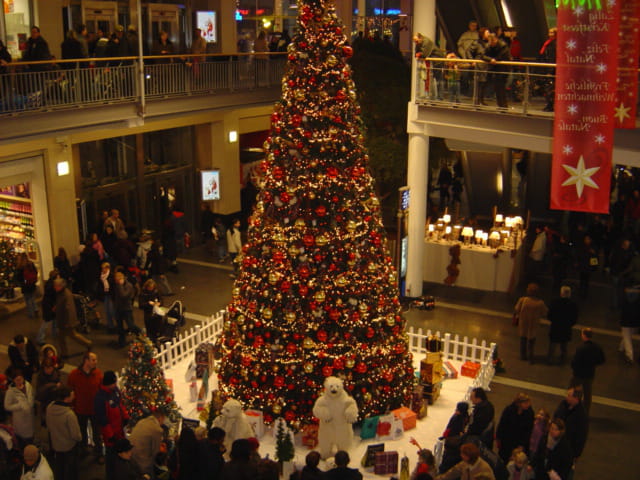 Le beau sapin