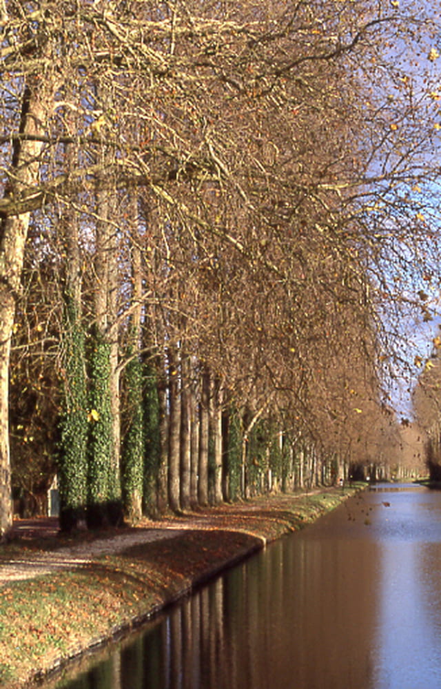 Le canal