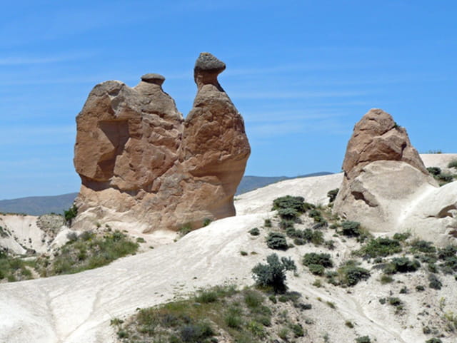 Le chameau de Cappadoce