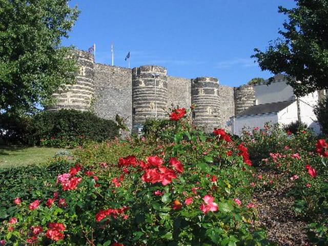 Le château d'angers