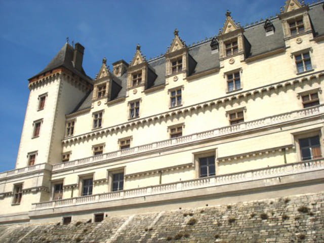 Le château de PAU