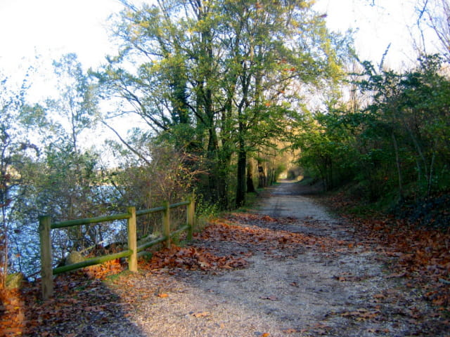 Le chemin