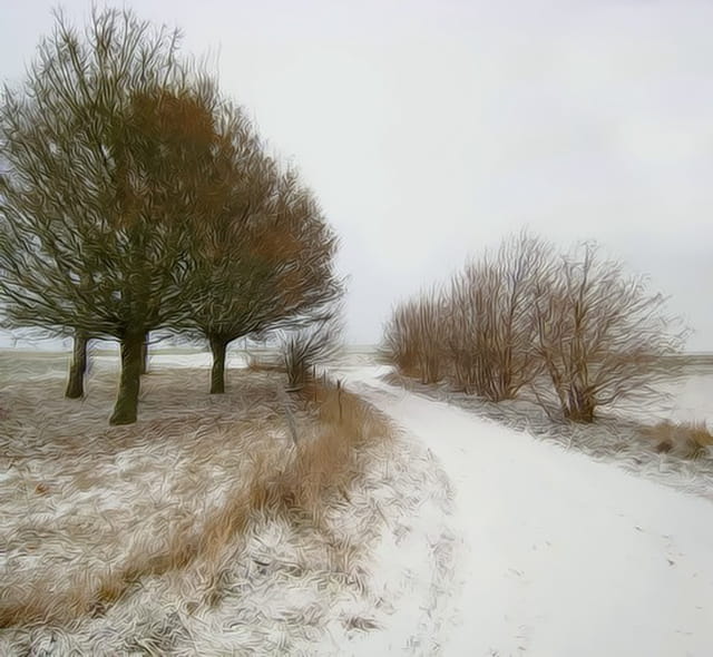 Le chemin sous la neige
